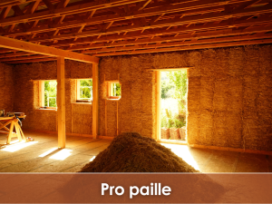 Bouton d'accès à la formation Pro paille