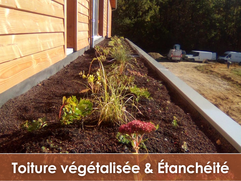 Bouton d'accès à la formation Toiture végétalisée et étanchéité